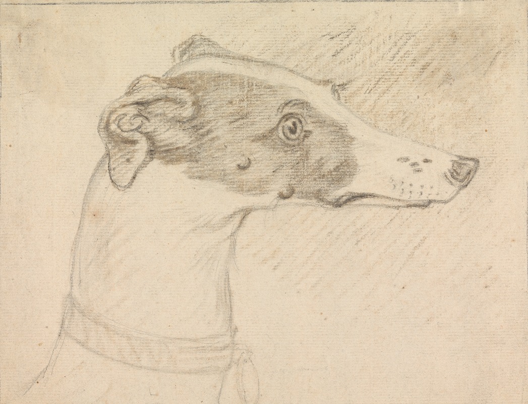 Sawrey Gilpin - Head Portrait of Grayhound