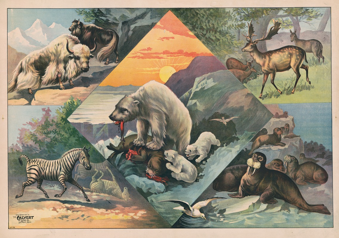 Calvert Litho. Co - Scenes with walruses, polar bears, deer, zebras and bison