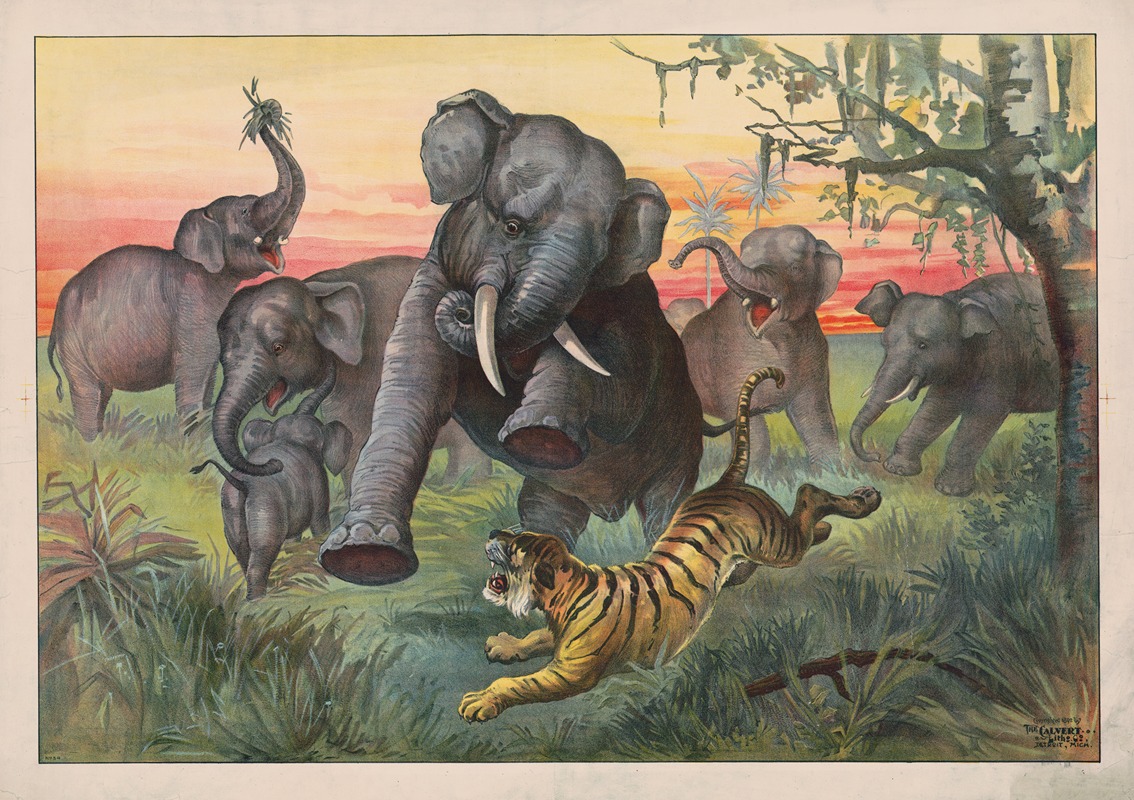 Calvert Litho. Co - Tiger attacking herd of wild elephants