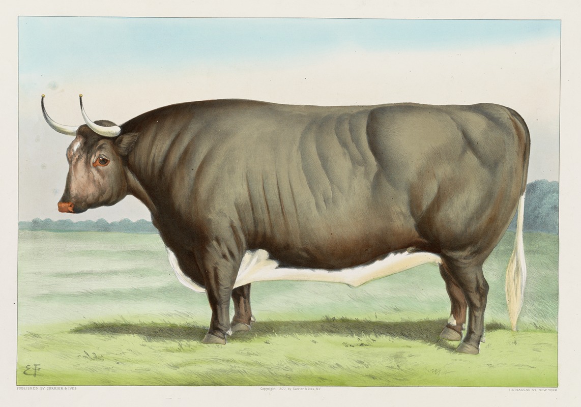 Currier & Ives. - The ‘Champion Steer’ of the world; Owned and fattened by George Ayrault, Po’keepsie, N.Y.