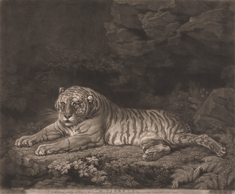 George Stubbs - A Tigress