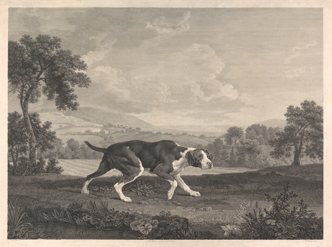 George Stubbs - The Spanish Pointer