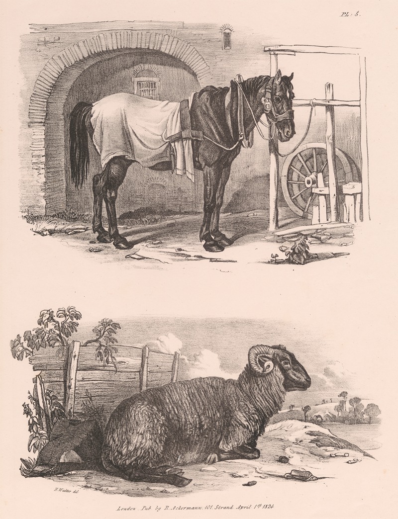 Henry Walter - Images of Livestock, Plate 5