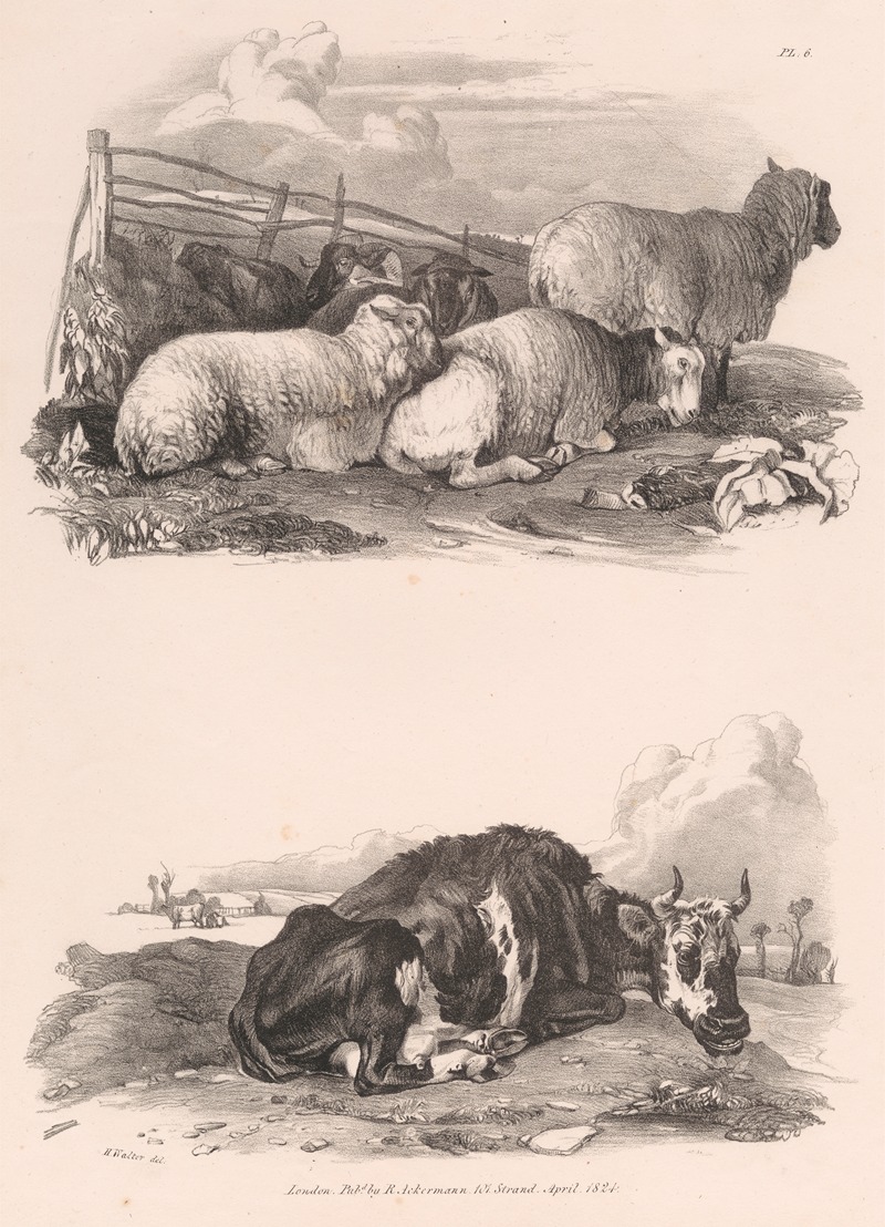 Henry Walter - Images of Livestock, Plate 6