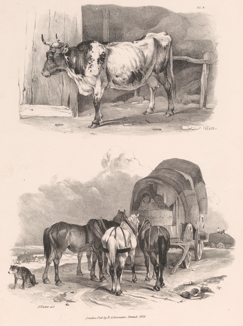 Henry Walter - Images of Livestock, Plate 8