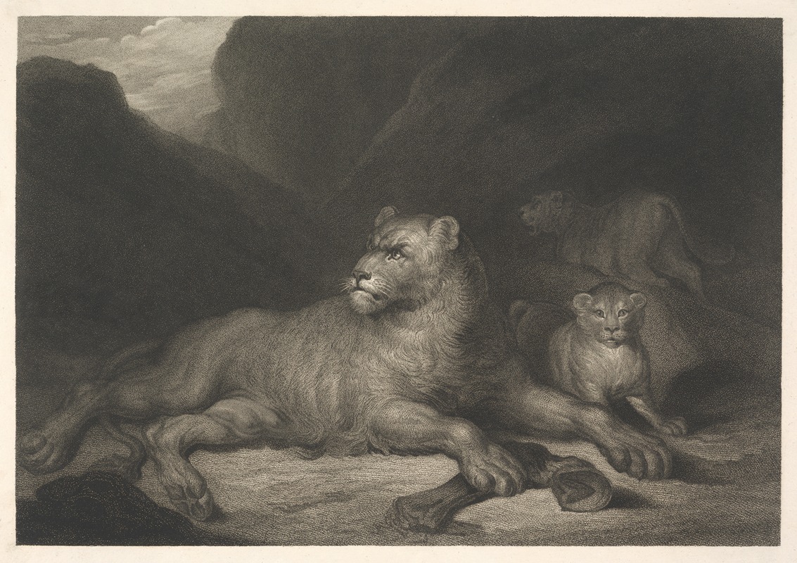 James Northcote - Lioness