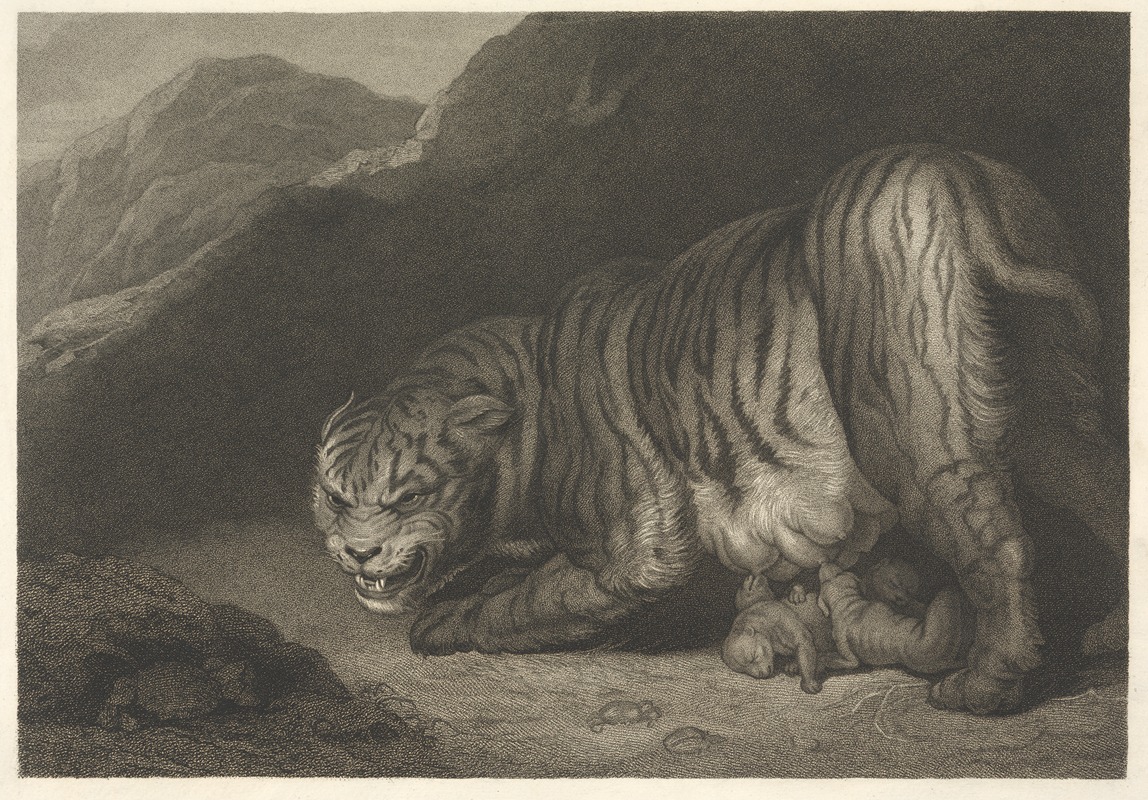 James Northcote - Tigress