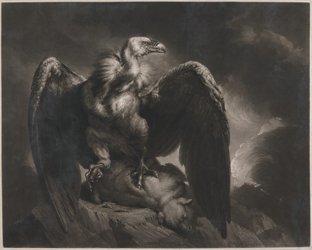 James Northcote - Vulture and Lamb