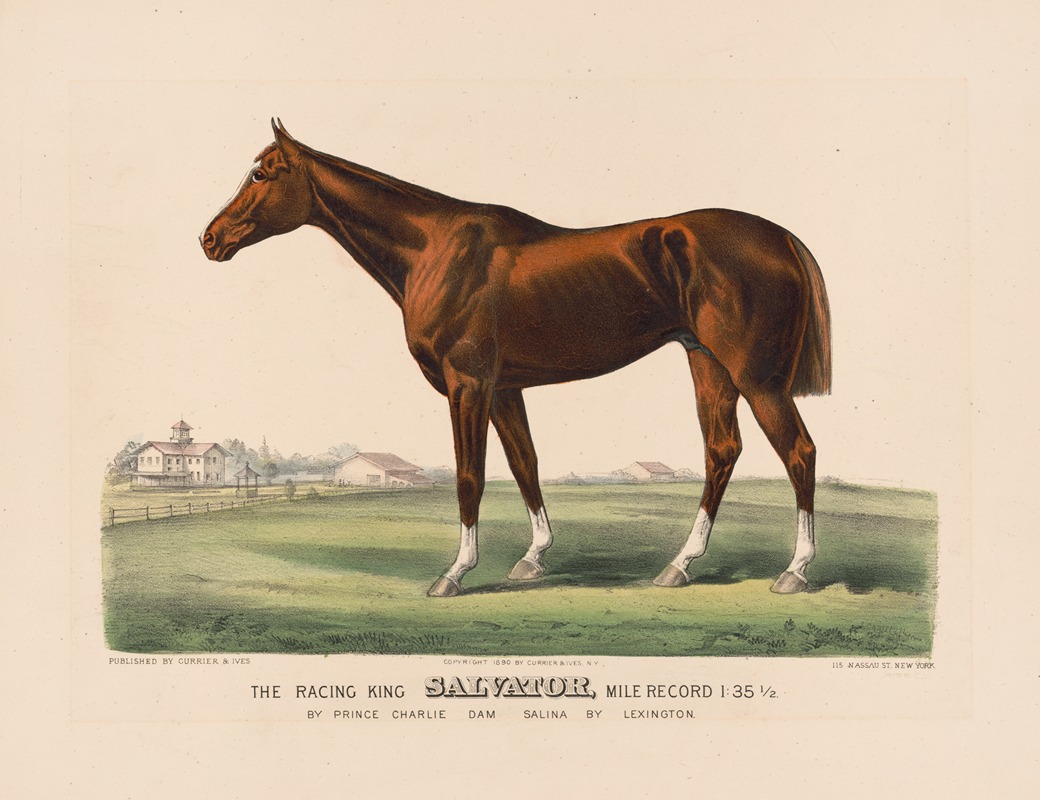 John Cameron - The racing King salvator