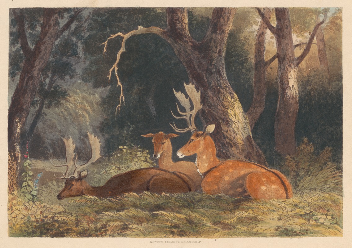 Newton Limbird Smith Fielding - Fallow Deer