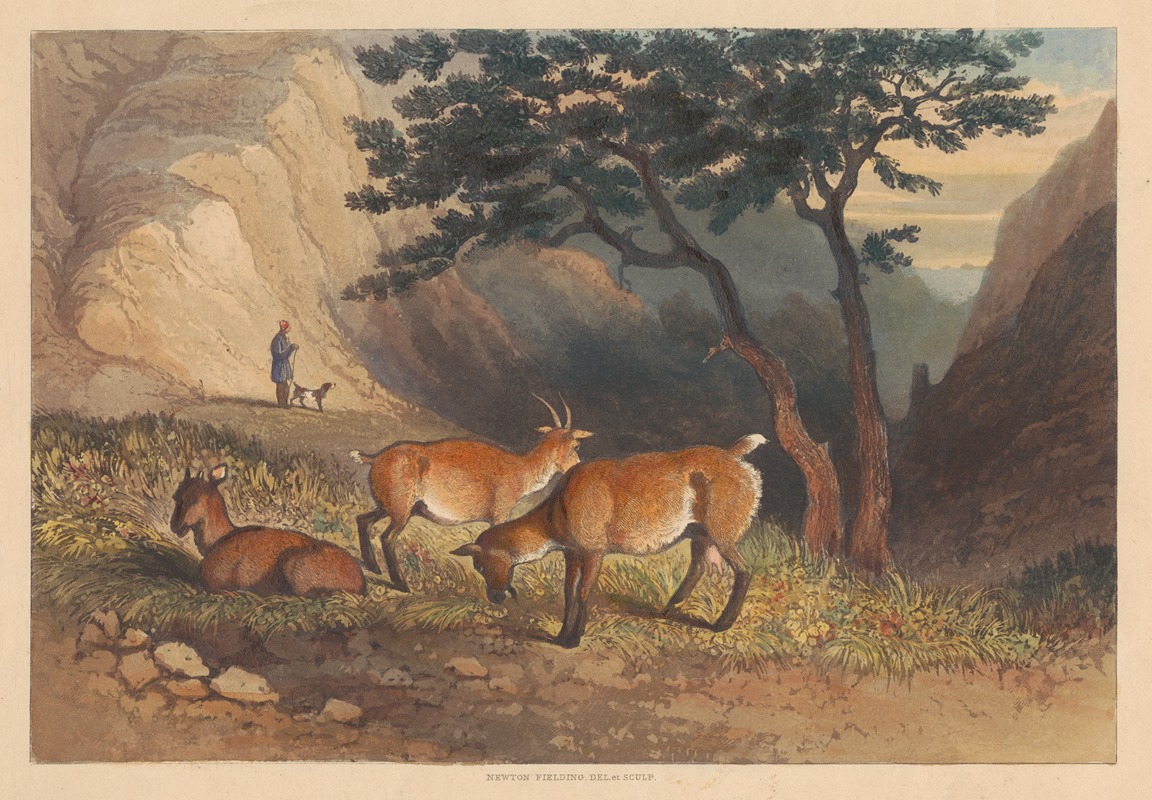 Newton Limbird Smith Fielding - Goats in Glencoe