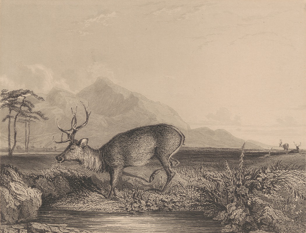 Newton Limbird Smith Fielding - Stag at the Edge of a Pond