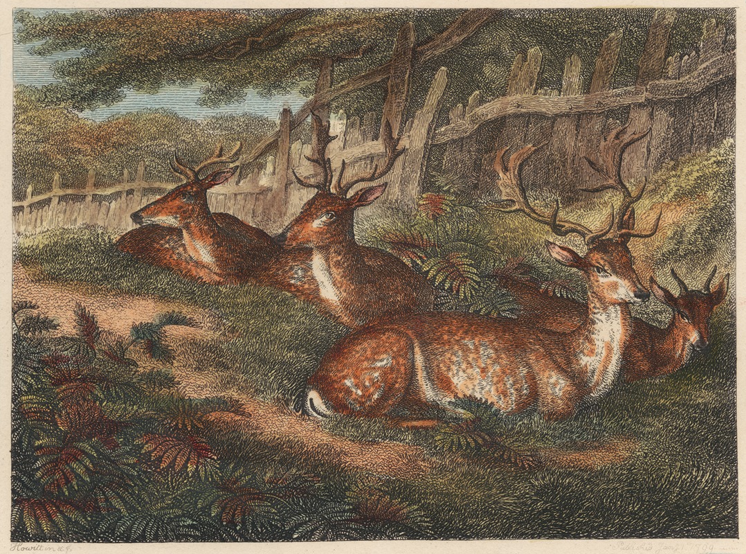 Samuel Howitt - Male Fallow Deer