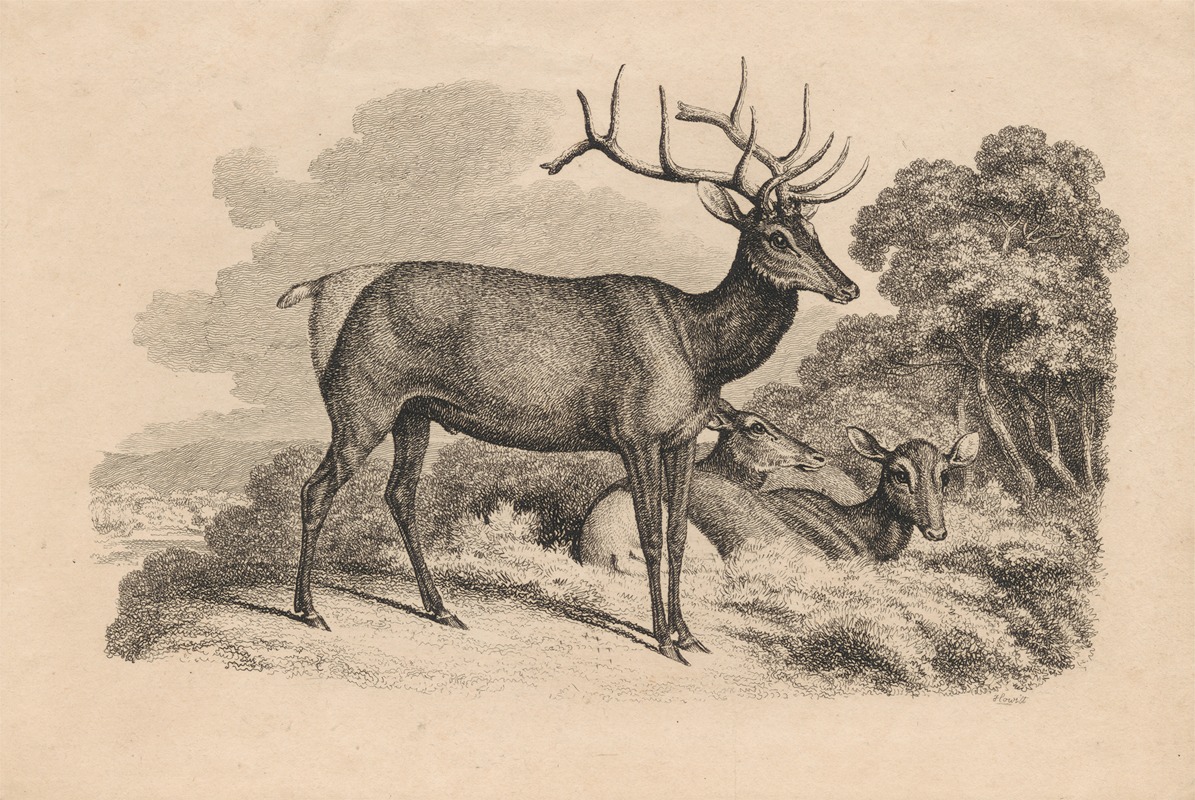 Samuel Howitt - A Buck and Two Doe