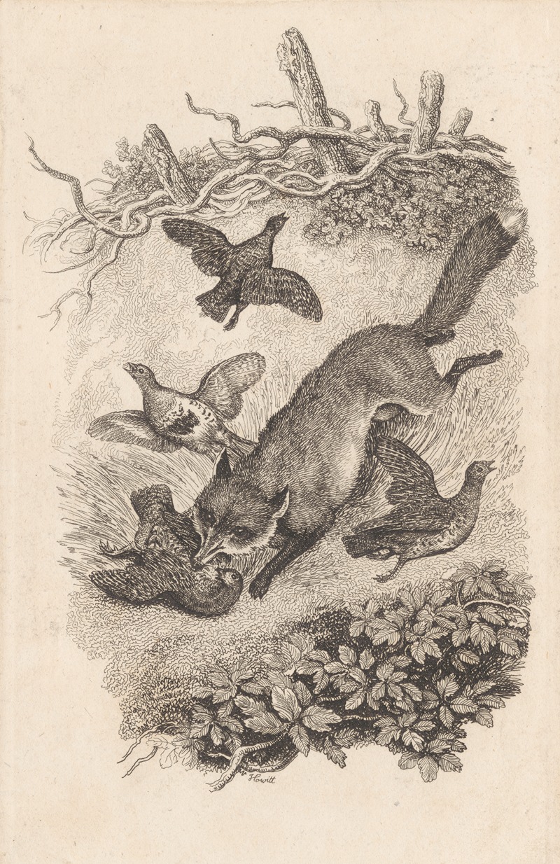 Samuel Howitt - Fox and Partridges