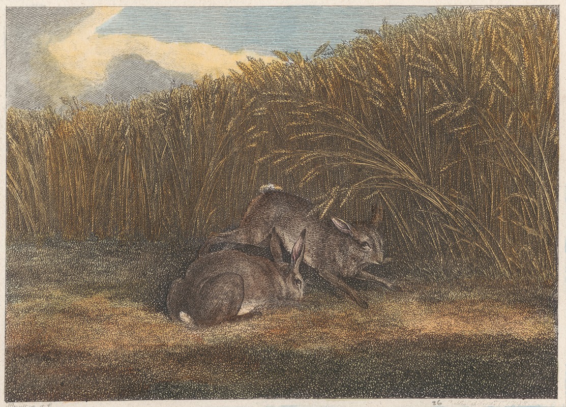 Samuel Howitt - Hares Feeding