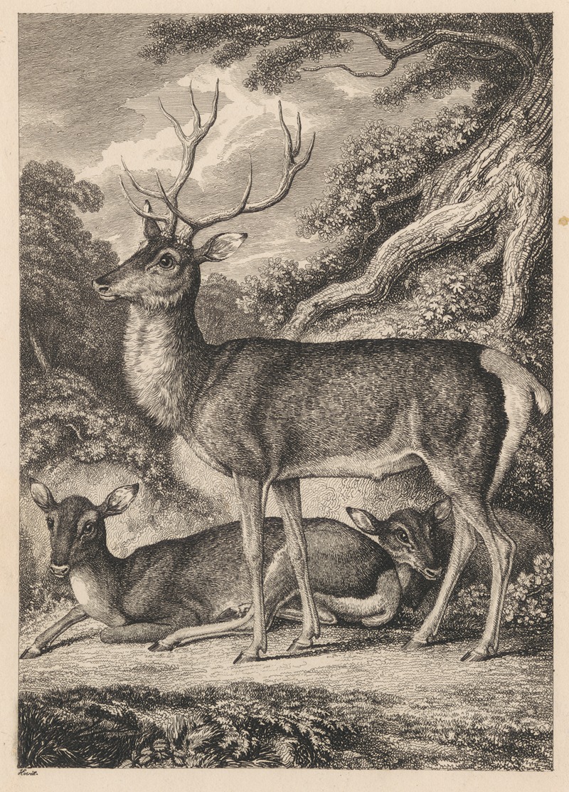 Samuel Howitt - Stag