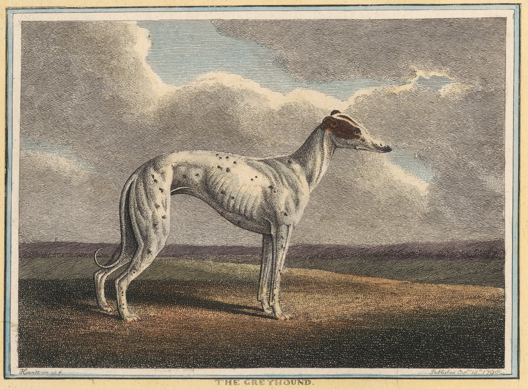 Samuel Howitt - The Greyhound