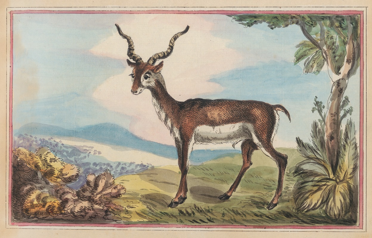 Thomas Rowlandson - The Antelope