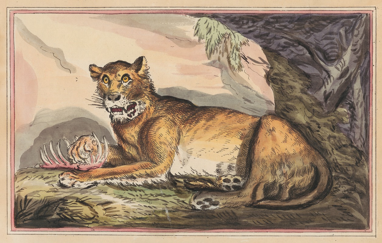 Thomas Rowlandson - The Lioness