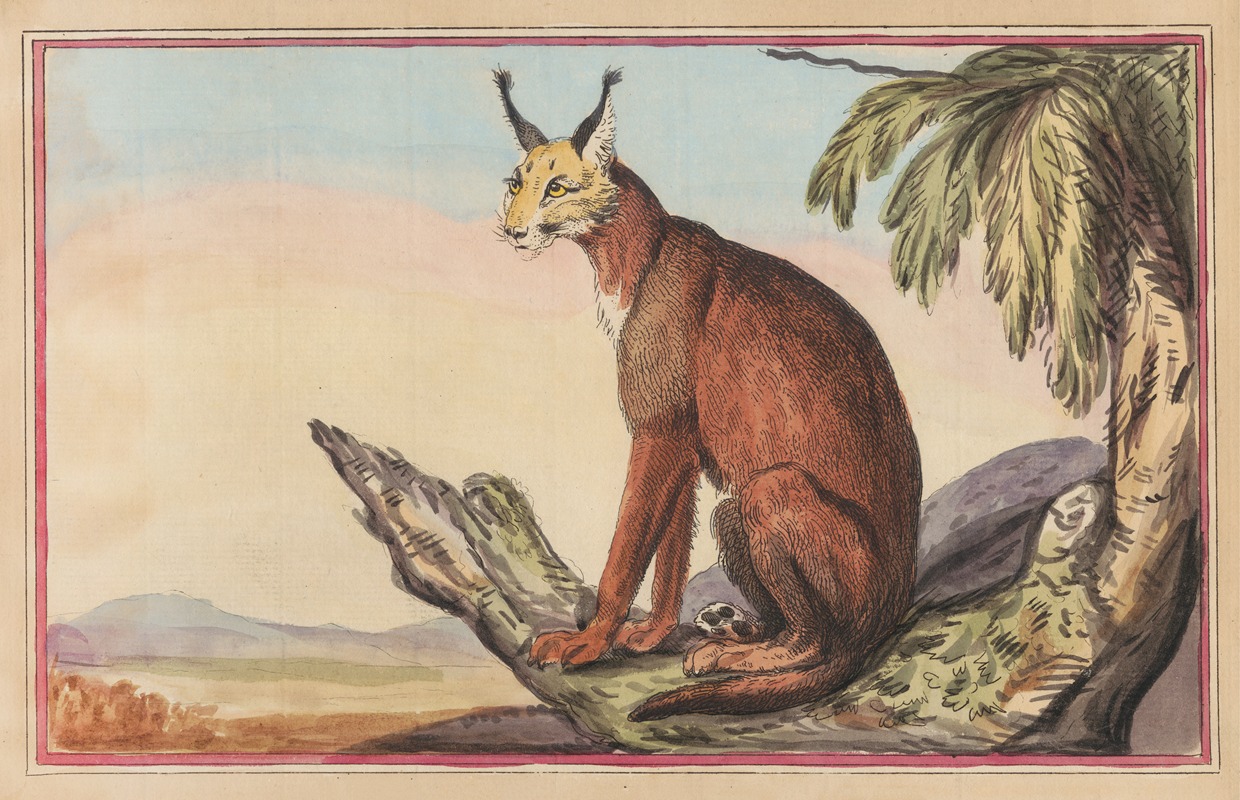 Thomas Rowlandson - The Persian Lynx