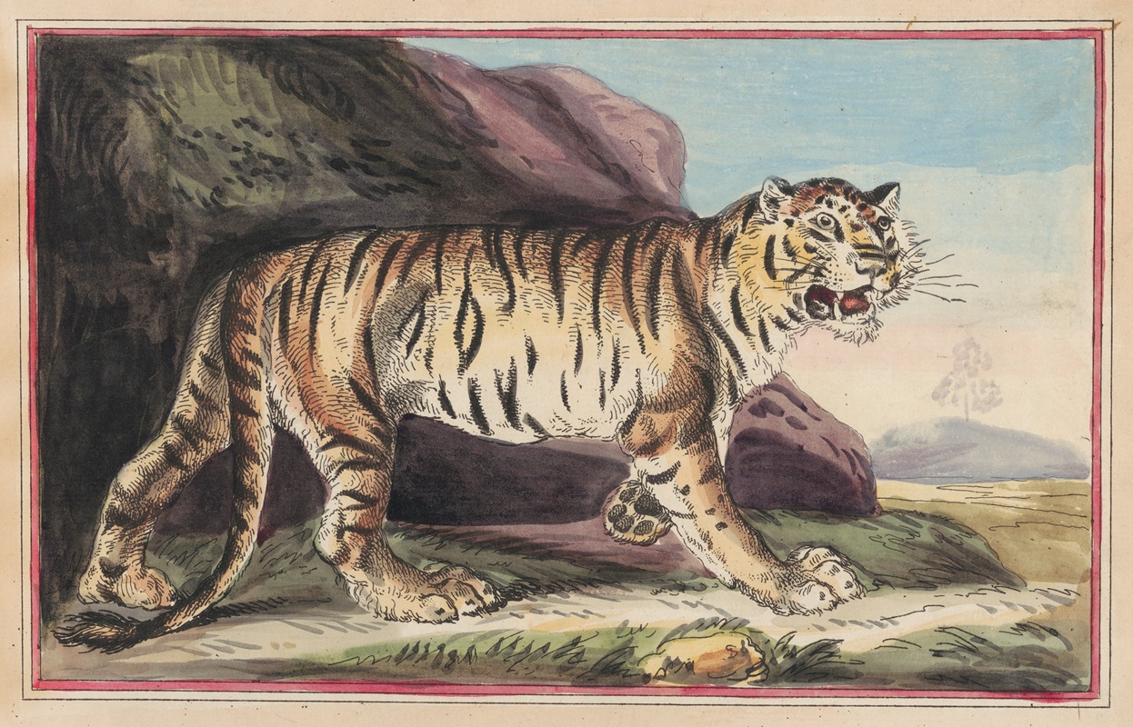 Thomas Rowlandson - The Tiger