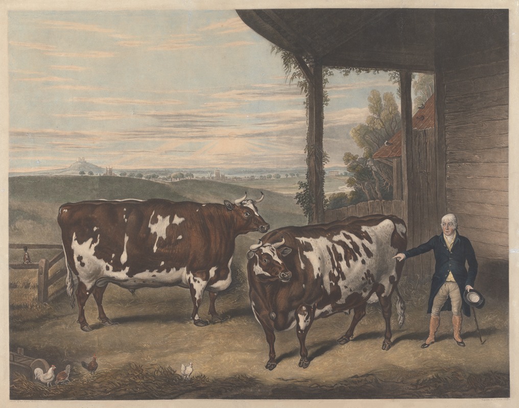 Thomas Weaver - Two Denham Oxen