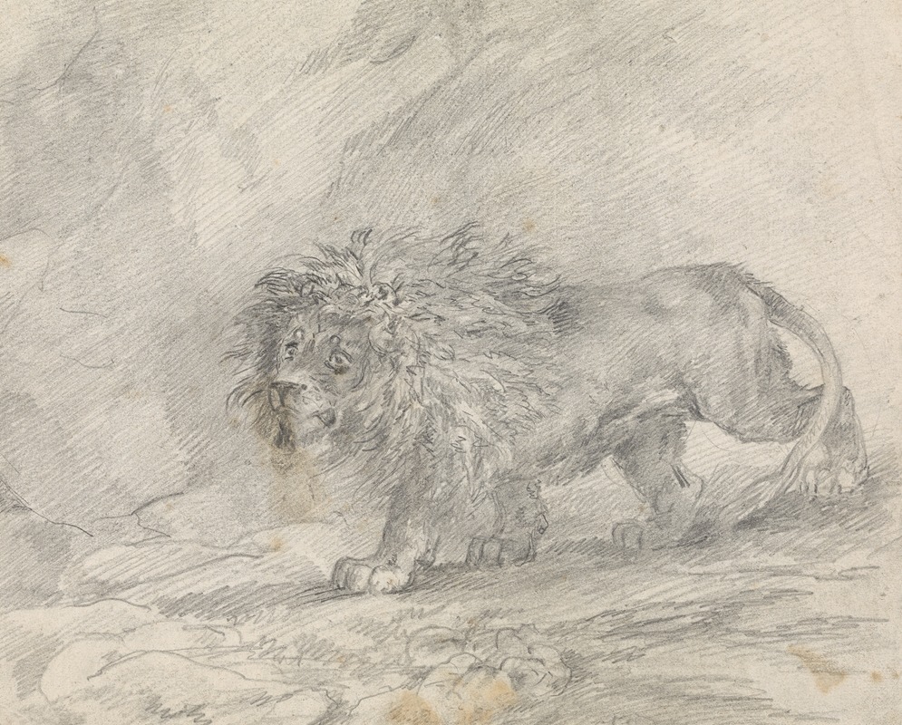 Sawrey Gilpin - Lion Walking in Rocky Landscape