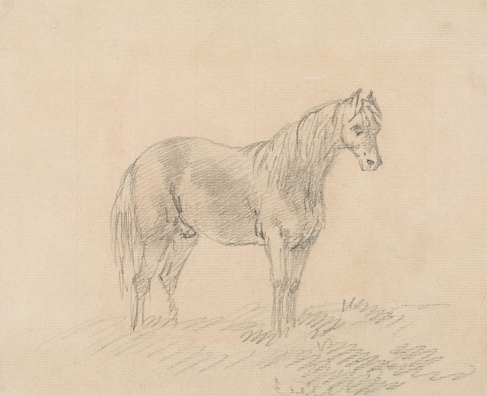 Male Horse by Sawrey Gilpin - Artvee