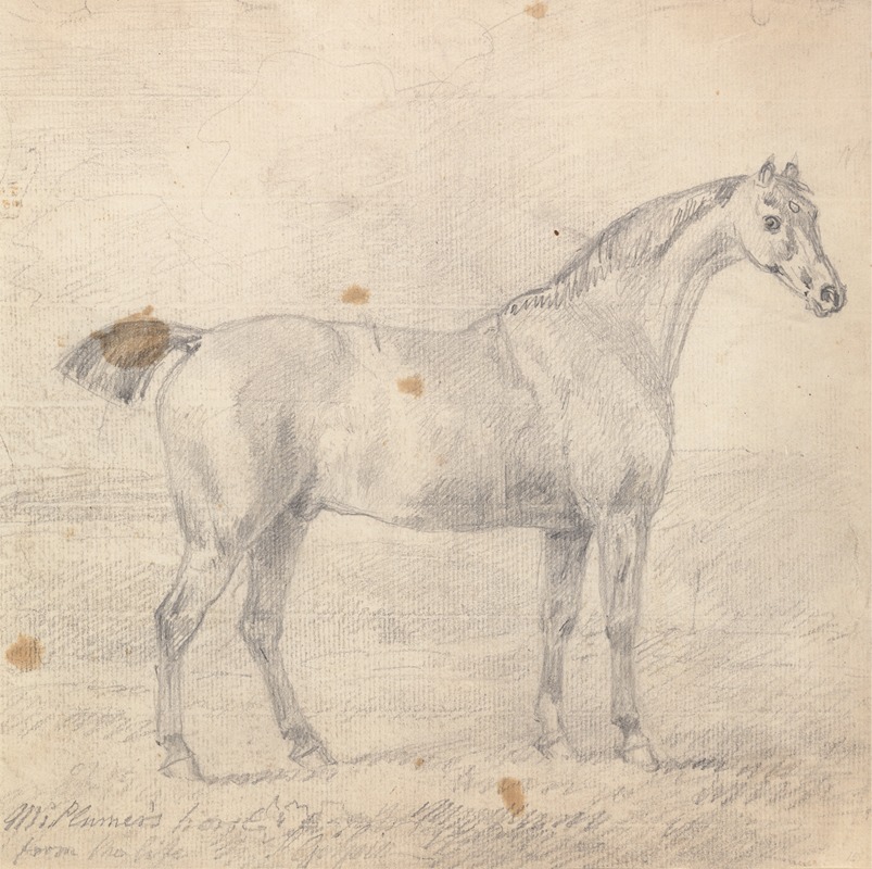 Sawrey Gilpin - Mr. Plumer’s Horse