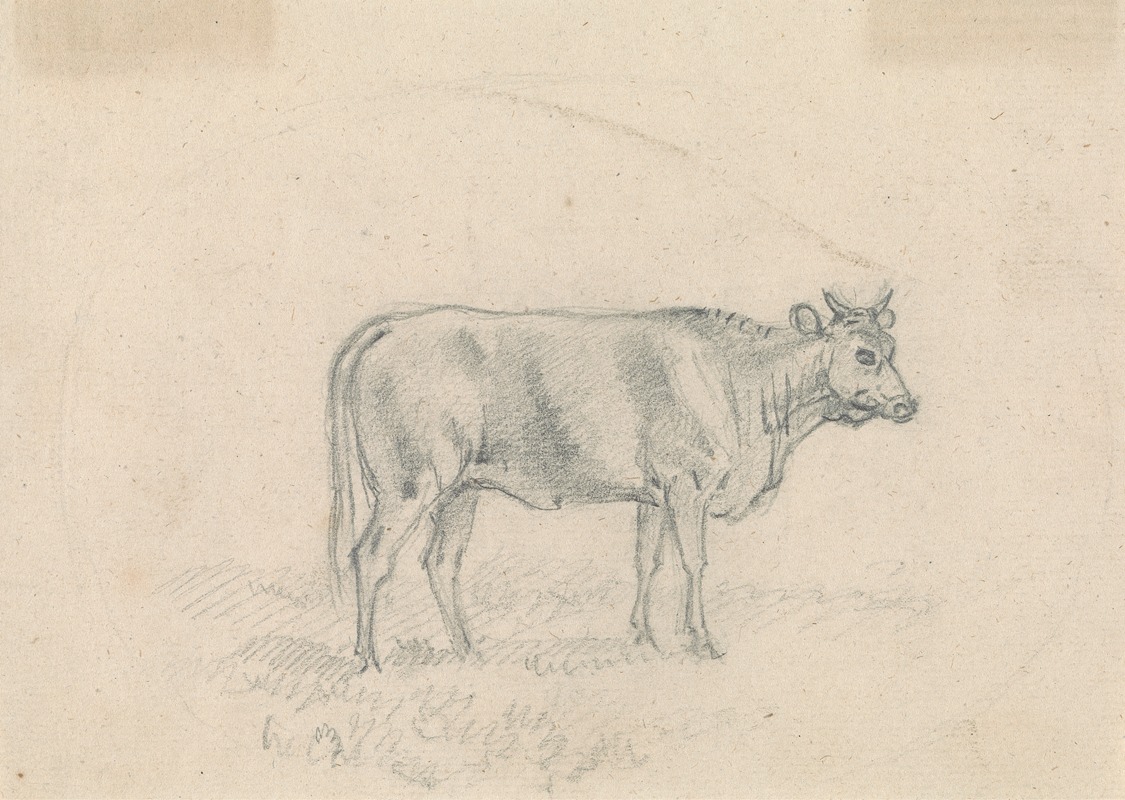 Sawrey Gilpin - Sketch of a Cow