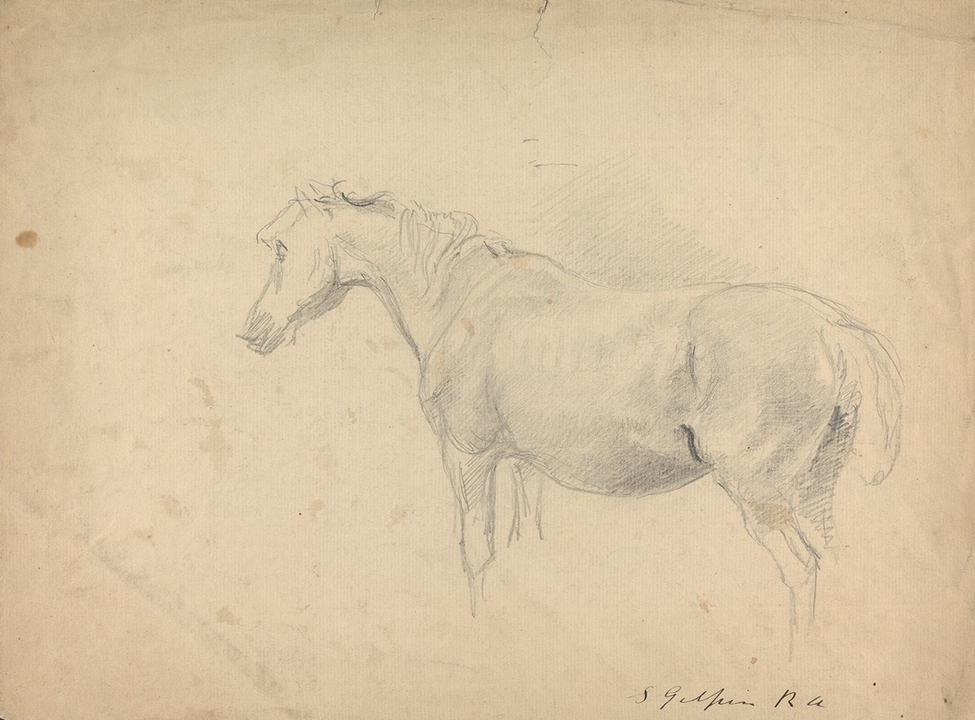 Sawrey Gilpin - Sketch of a Horse