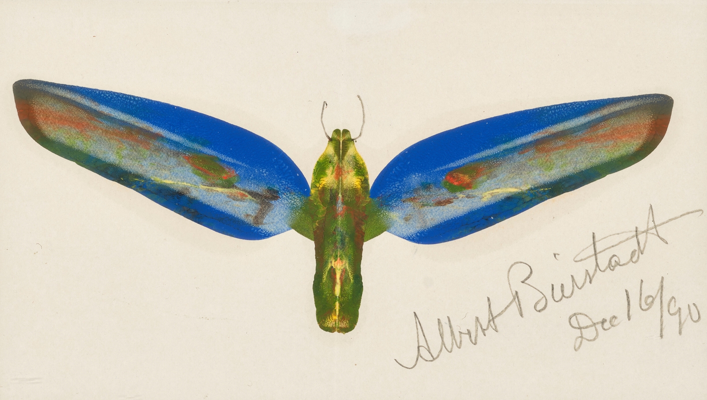 Albert Bierstadt - Moth