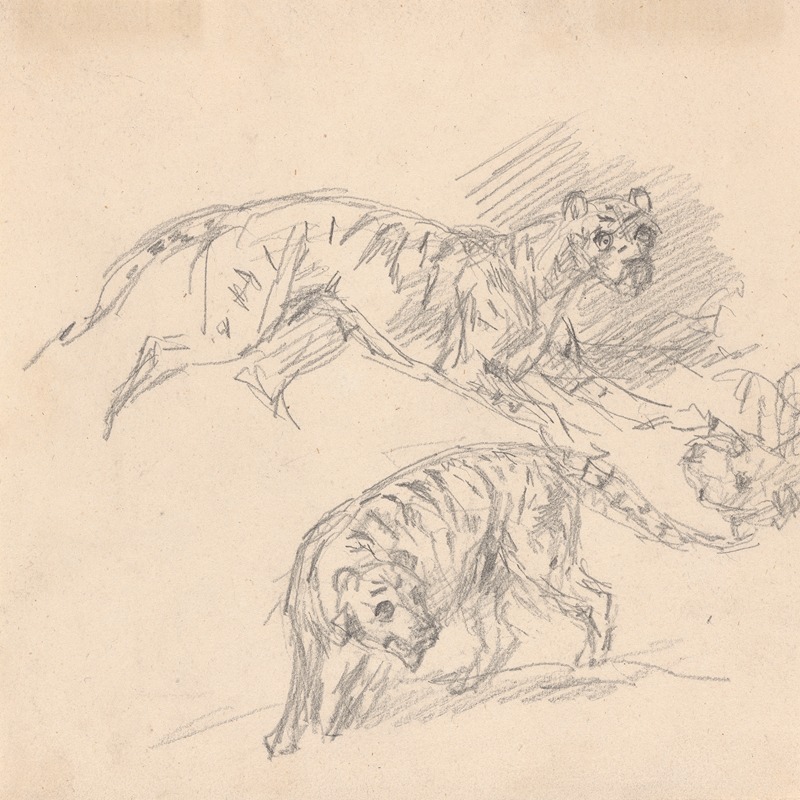 Sawrey Gilpin - Studies of a tiger