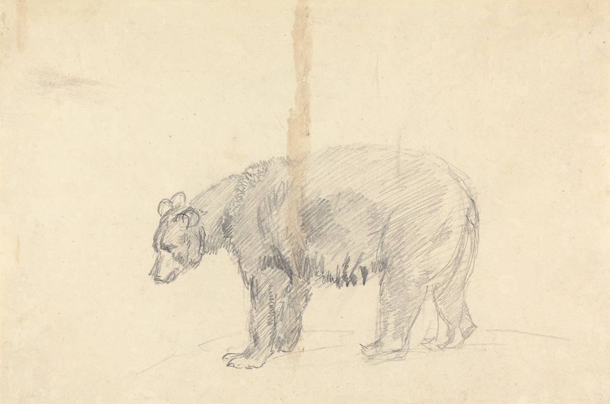 Sawrey Gilpin - Study of a Bear.