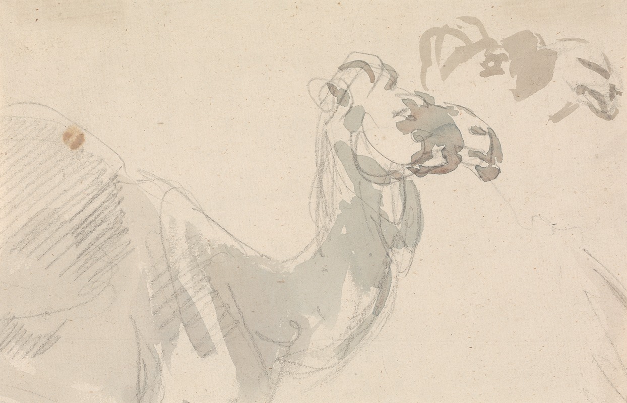 Sawrey Gilpin - Study of a Camel