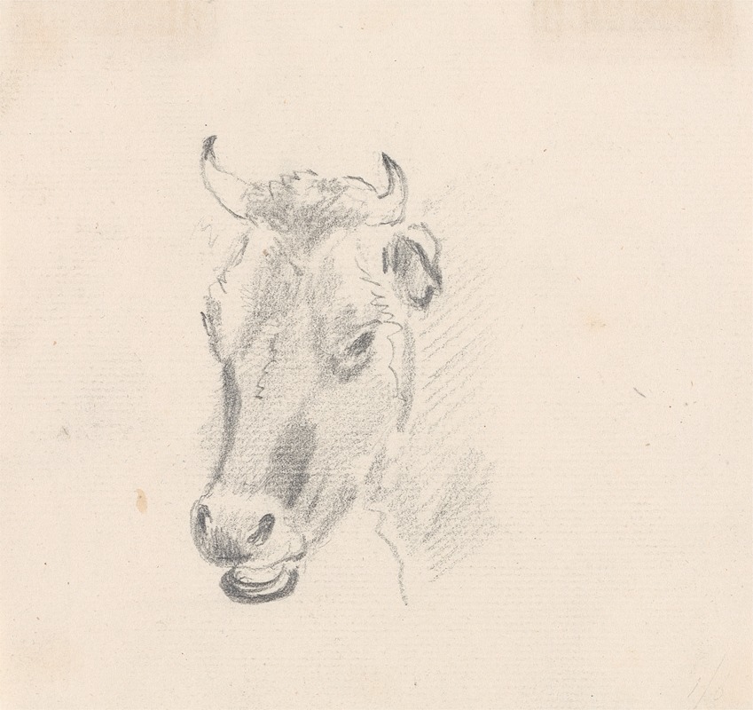 Sawrey Gilpin - Study of a Cow’s Head