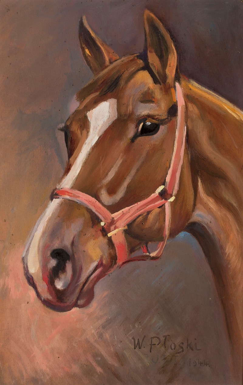 W. Płoski - Horse’s head