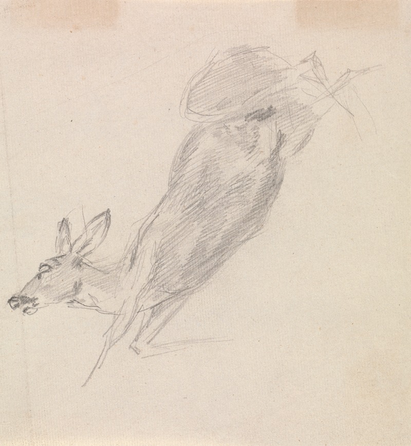 Sawrey Gilpin - Study of a dead deer