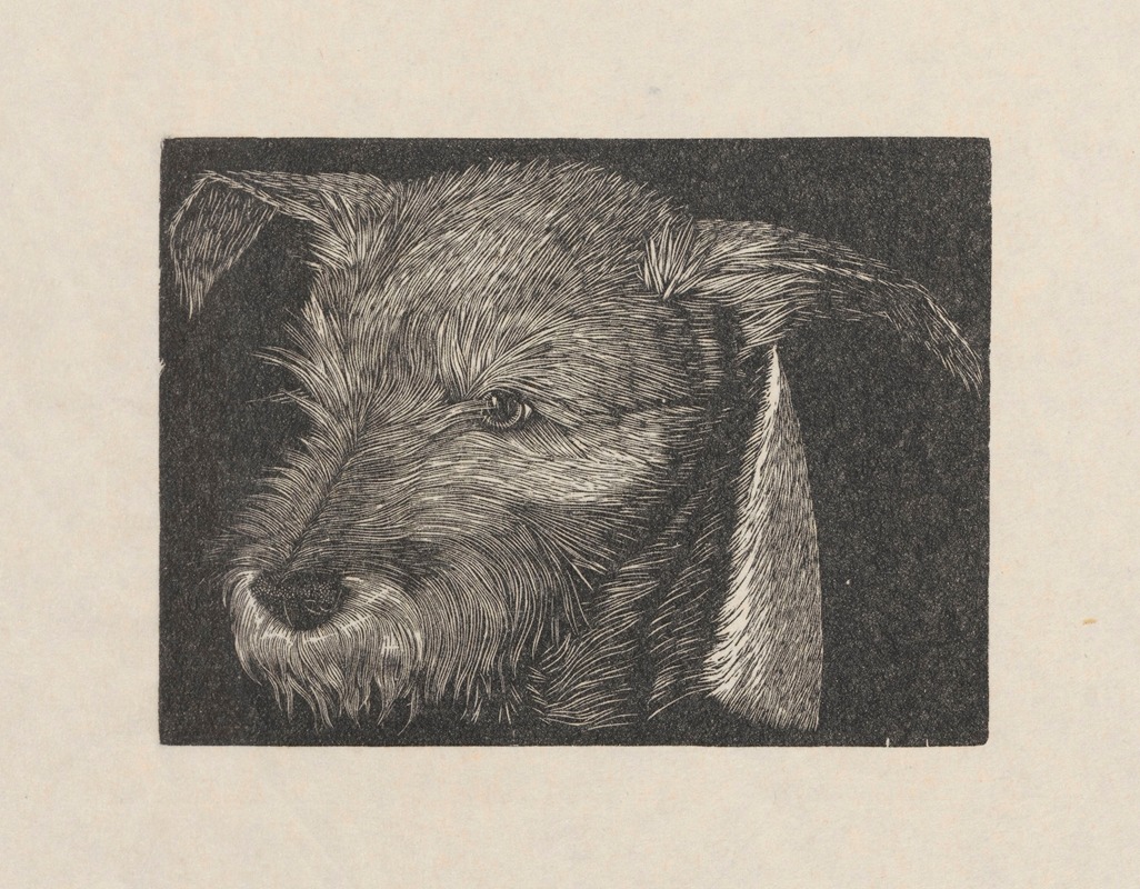 Wiktoria Goryńska - Head of ‘Beauty’ the dog