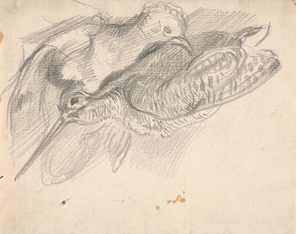 Sawrey Gilpin - Study of a Dead Woodcock and Another Bird