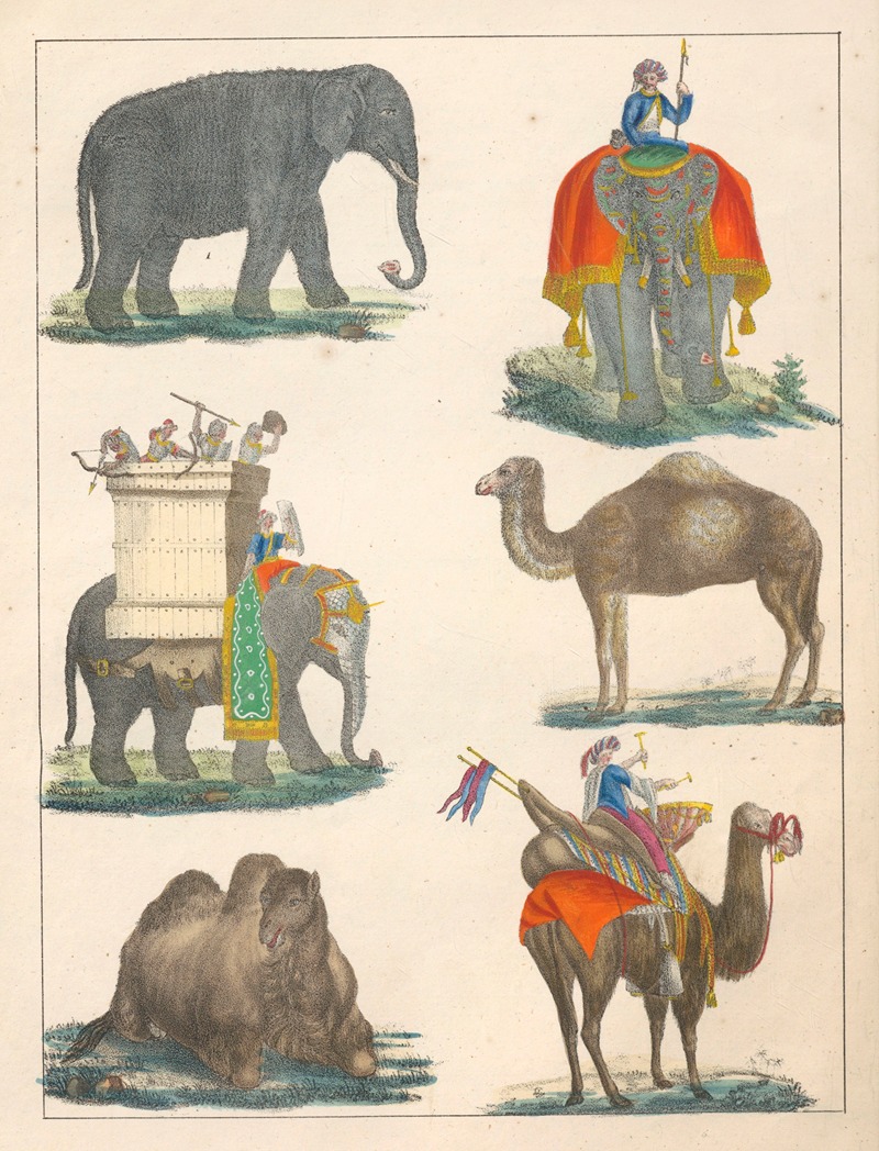 Anton Benedikt Reichenbach - Natural History (Galerya obrazowa zwiérząt czyli Historya naturalna) Pl.01