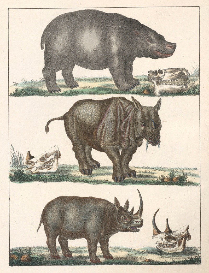 Anton Benedikt Reichenbach - Natural History (Galerya obrazowa zwiérząt czyli Historya naturalna) Pl.17