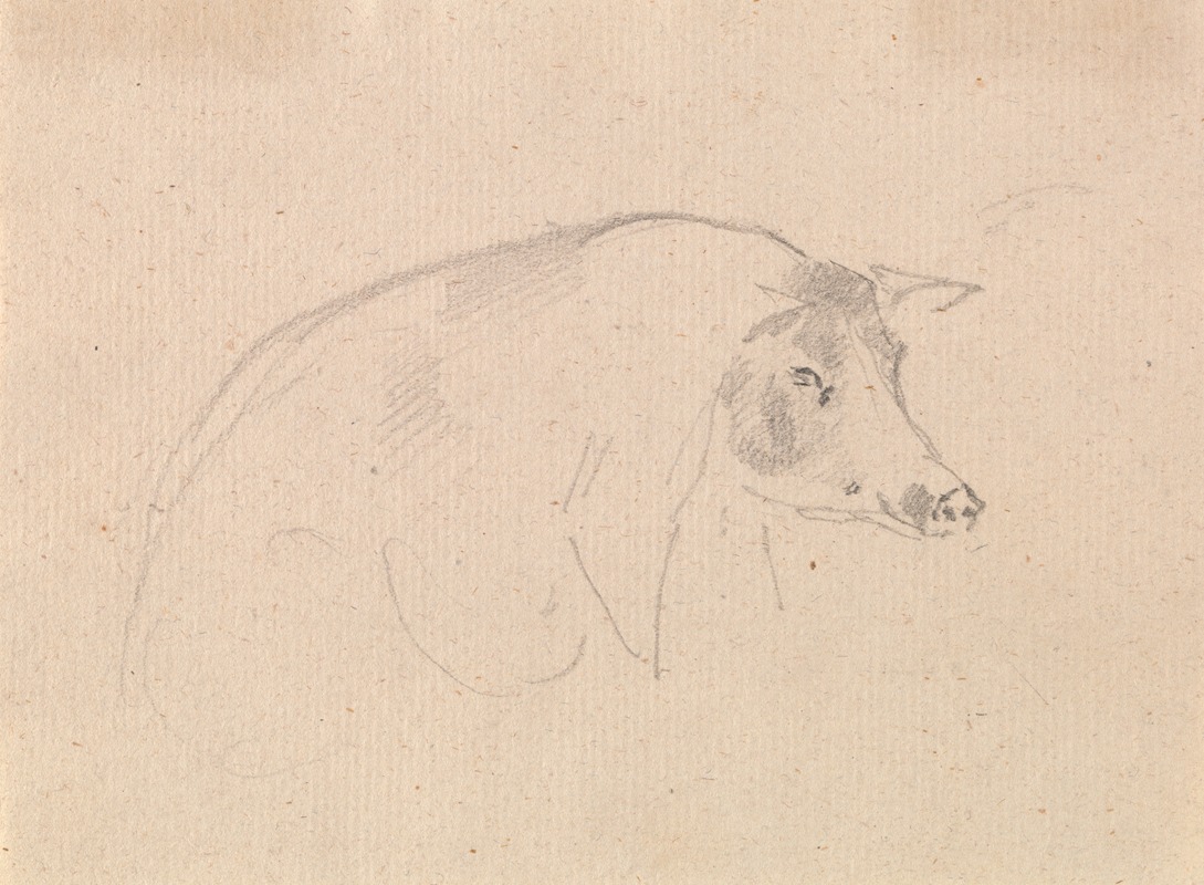 Sawrey Gilpin - Study of a pig