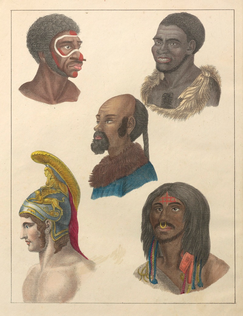 Anton Benedikt Reichenbach - Natural History (Galerya obrazowa zwiérząt czyli Historya naturalna) Pl.77