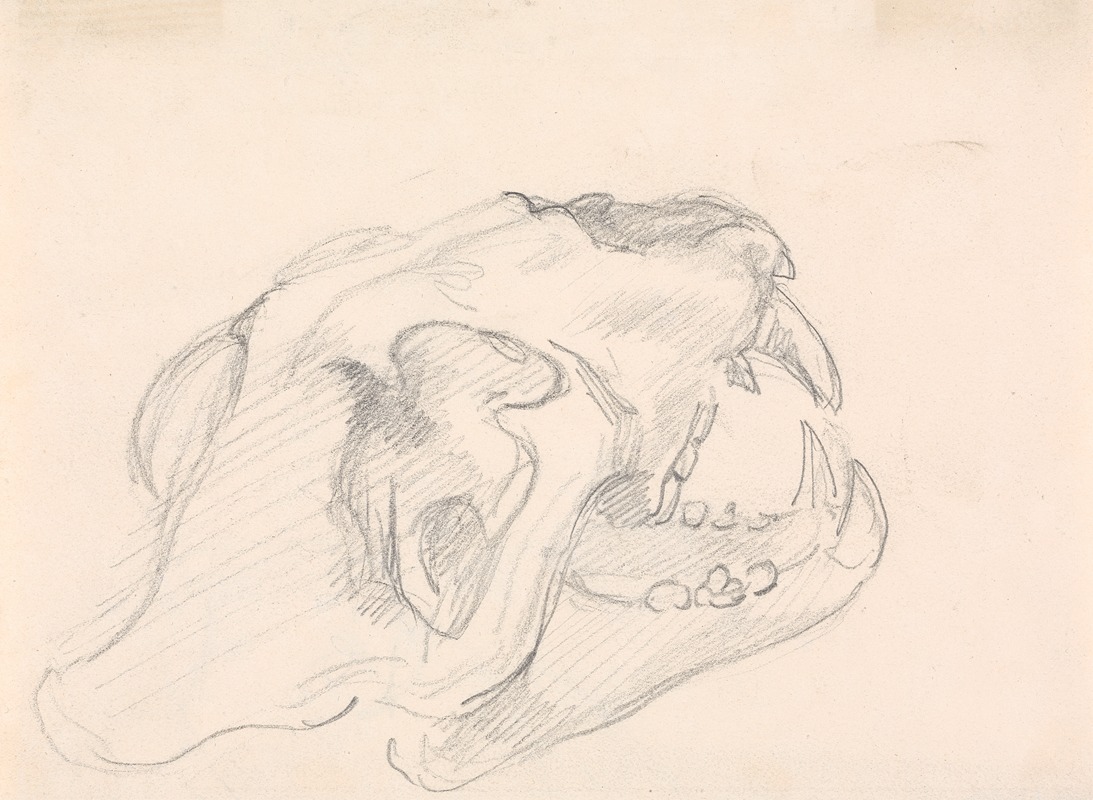 Sawrey Gilpin - Study of a Skull