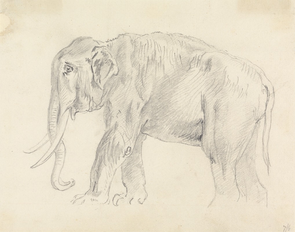 Sawrey Gilpin - Study of an Elephant