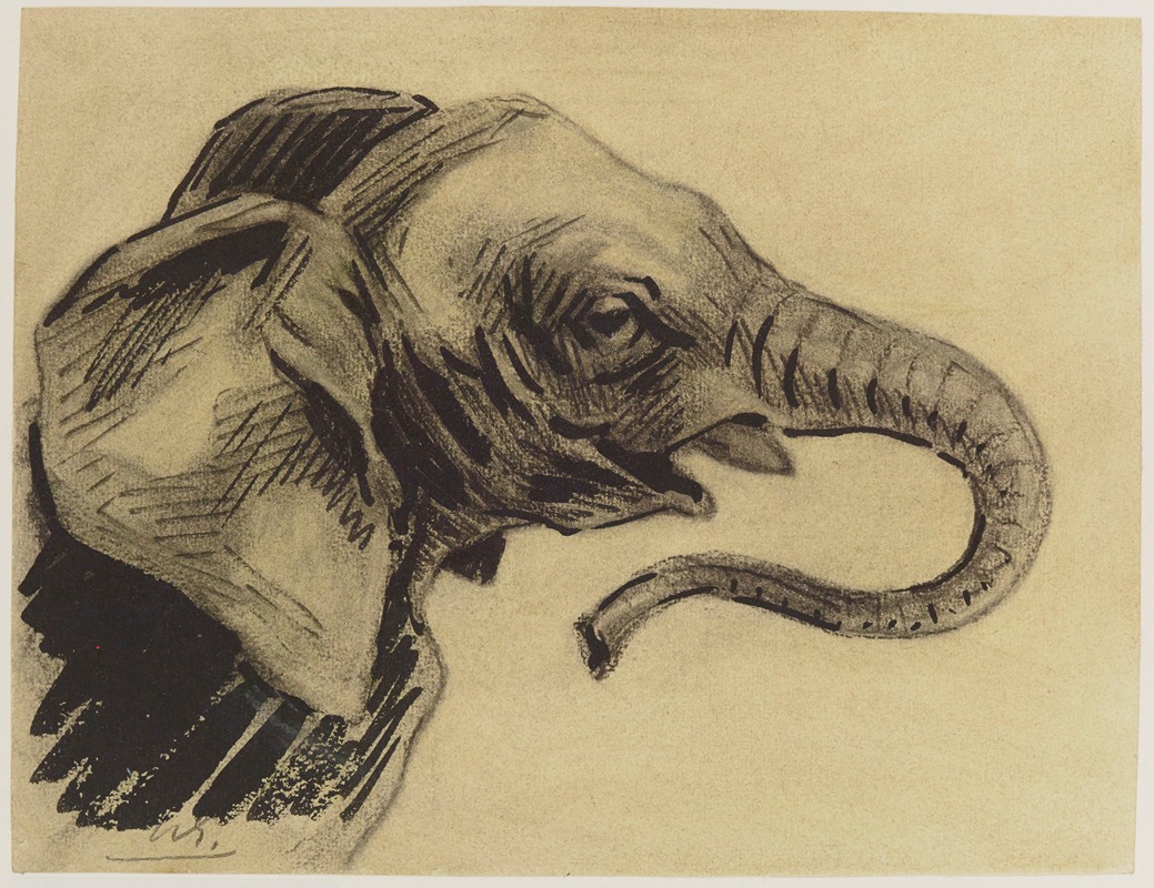 Henri-Charles Guérard - Tête d’éléphant, dessin préparatoire à la gravure