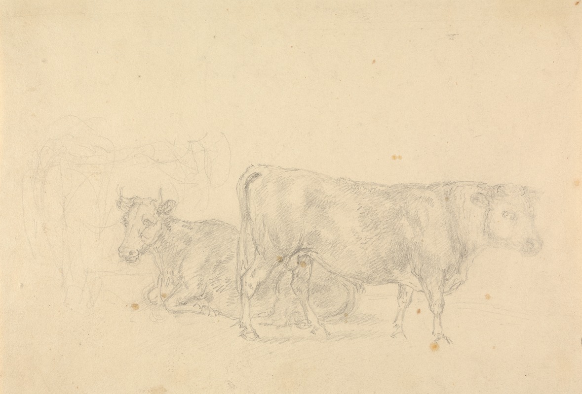 Sawrey Gilpin - Study of cattle, bull in foreground facing right