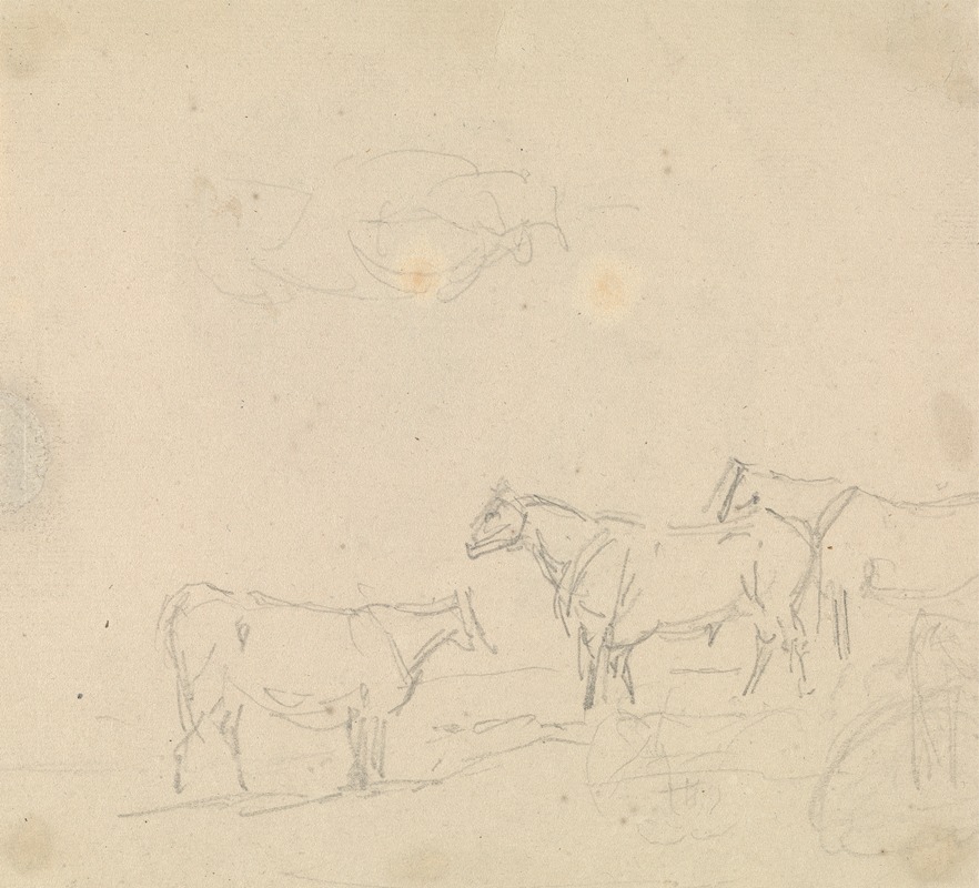 Sawrey Gilpin - Study of Cattle